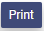 PRINT Button