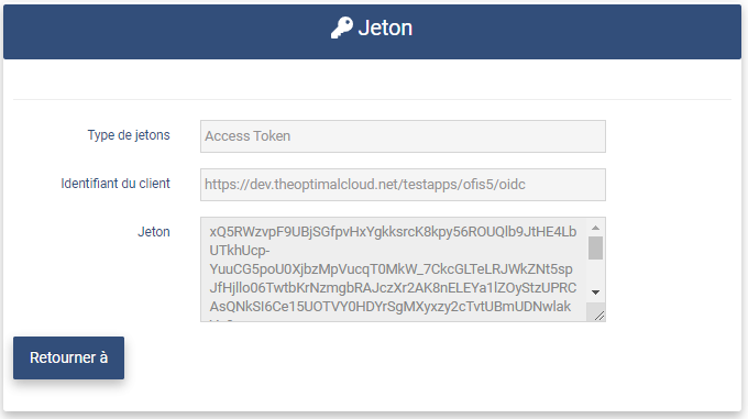 Access Token View